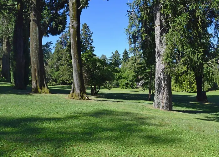 Hermitage-1 By Interhome Appartamento